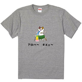 おもしろTシャツ みかん箱 アロハーオエェ 【ギフト プレゼント 面白いtシャツ メンズ 半袖 文字Tシャツ 漢字 雑貨 名言 パロディ おもしろ 全20色 サイズ S M L XL XXL】