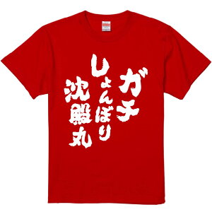 TVc ݂ yK`ڂ蒾aہz ZF Ȑn  Y fB[X jp  ^