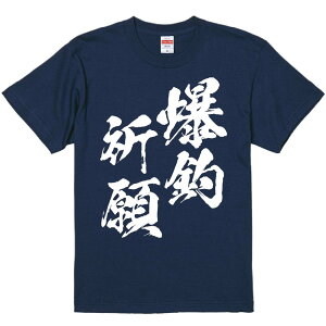 TVc ݂ yދF ނz ZF Ȑn  Y fB[X jp  ^