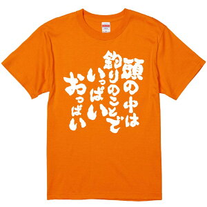 TVc ݂ y̒͒ނ̂Ƃłςς z ZF Ȑn  Y fB[X jp  ^