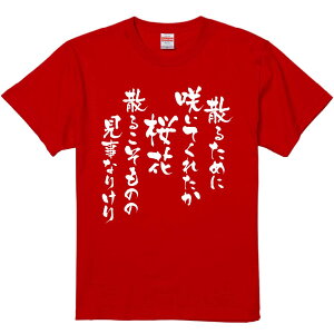 TVc ݂ yU邽߂ɍ炢ĂꂽԎU邱̂̌Ȃ肯 z ZF Ȑn  Y fB[X jp  ^