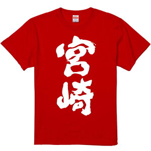 TVc ݂ y{z ZF Ȑn  Y fB[X jp  ^