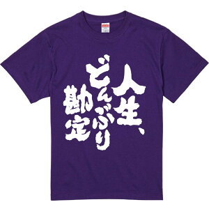 TVc ݂ ylAǂԂ芨z ZF Ȑn  Y fB[X jp  ^