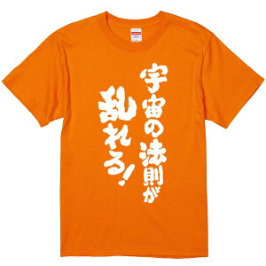 TVc ݂ yF̖@Iz ZF Ȑn  Y fB[X jp  ^