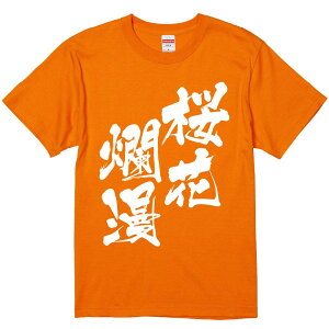 TVc ݂ yࣖz ZF Ȑn  Y fB[X jp  ^