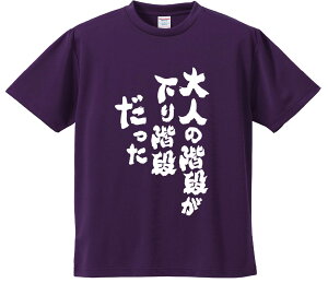 TVc ݂ yl̊KiKiz hCn |GXe TVc v[g ӂtVc i  ^