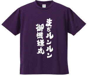 TVc ݂ y܂@ہz hCn |GXe TVc v[g ӂtVc i  ^