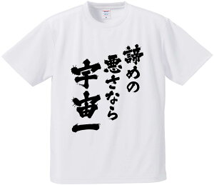 TVc ݂ y߂̈ȂFz hCn |GXe TVc v[g ӂtVc i  ^