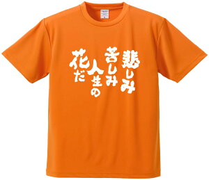 TVc ݂ y߂݋ꂵݐl̉Ԃ z hCn |GXe TVc v[g ӂtVc i  ^