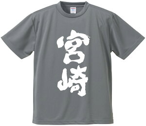 TVc ݂ y{z hCn |GXe TVc v[g ӂtVc i  ^