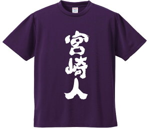 TVc ݂ y{lz hCn |GXe TVc v[g ӂtVc i  ^