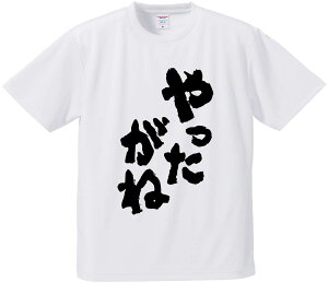 TVc ݂ yˁz hCn |GXe TVc v[g ӂtVc i  ^