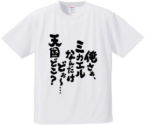 TVc ݂ yA~JGȂ񂾂ǂ`cVǂz hCn |GXe TVc v[g ӂtVc i  ^