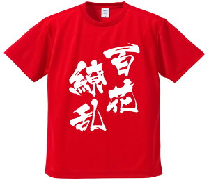 TVc ݂ yS㇗z hCn |GXe TVc v[g ӂtVc i  ^