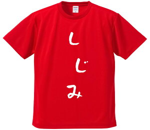 TVc ݂ y݁z hCn |GXe TVc v[g ӂtVc i  ^