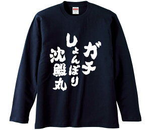 ytVc@݂񔠁z K`ڂ蒾a  Ȑn Y fB[X pfB ^  ʔ