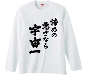 ytVc@݂񔠁z ߂̈ȂF  Ȑn Y fB[X pfB ^  ʔ