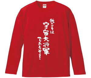 ytVc@݂񔠁z 䂱͉F叫Rł邼  Ȑn Y fB[X pfB ^  ʔ