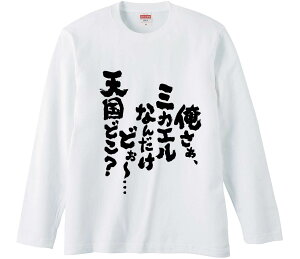 ytVc@݂񔠁z A~JGȂ񂾂ǂ`cVǂ  Ȑn Y fB[X pfB ^  ʔ