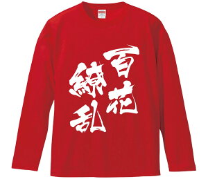 ytVc@݂񔠁z S㇗  Ȑn Y fB[X pfB ^  ʔ