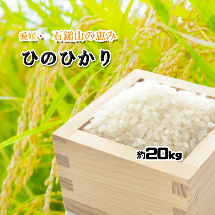 楽天市場】ヒノヒカリ 愛媛県産 ひのひかり 2024年産 玄米 精米可 20kg  
