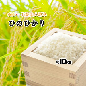 ヒノヒカリ 愛媛県産 ひのひかり 2021年産 玄米 精米可 10kg 送料無料