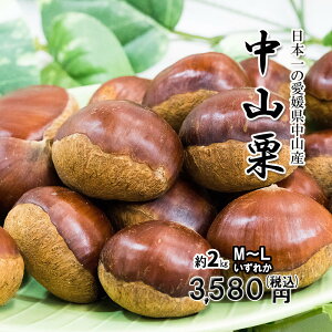 RI QY {̌I 嗱 ÂăzNzNł M`L 2kg  ①