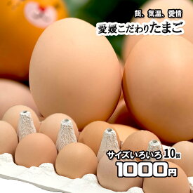 たまご 愛媛県産 卵 鶏卵 濃厚 こだわり製法 10個 サイズ不揃い 送料無料