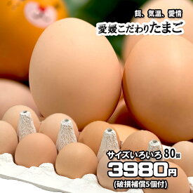 たまご 愛媛県産 卵 鶏卵 濃厚 こだわり製法 80個 サイズ不揃い 送料無料 +破損補償5個