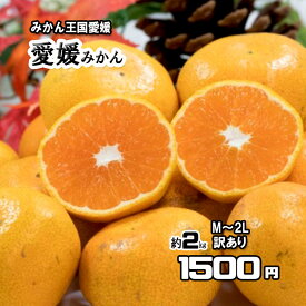みかん 箱買い 訳あり 愛媛みかん 温州みかん 2kg 甘いみかん 送料無料