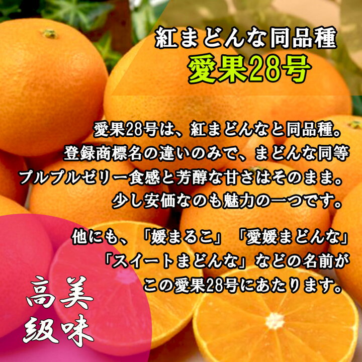 楽天市場】愛果28号 紅まどんな 訳あり みかん 箱買い サイズ不揃い 約 