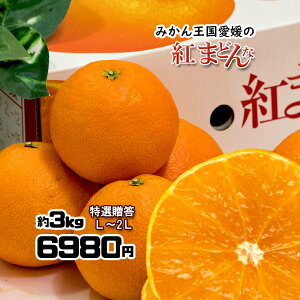 g܂ǂ I ݂ ׂɂ܂ǂ L`2L 3kg ϔ 