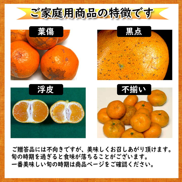 楽天市場 せとか 贈答 約2 5ｋｇ ｌ15個 2ｌ12個 いずれか 贈答 贈り物 送料無料 みかん横丁