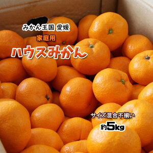 みかん 人気商品ランキング 価格 Com みかん 人気商品ランキング 価格 Com