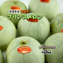 プリンスメロン メロン 家庭用 愛媛県産 ノーネット 約2kg 3〜6玉 送料無料