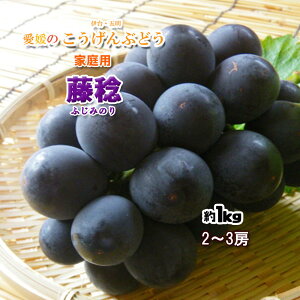  Ԃǂ QY ɑ ܖ Ԃǂ s ƒp 1kg