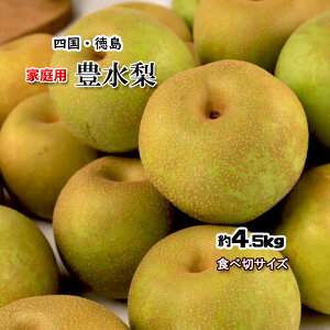 L  L ƒp ق Ă̔J񕜂 Hא؂TCY 4.5kg  Y QY