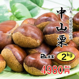 RI QY {̌I 嗱 ÂăzNzNł 2Lȏ 2kg  ①