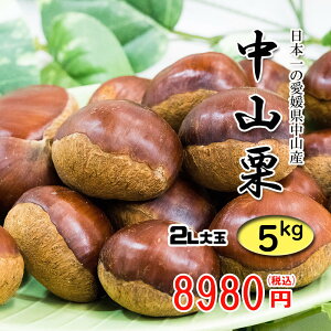 RI QY {̌I 嗱 ÂăzNzNł 2Lȏ 5kg 