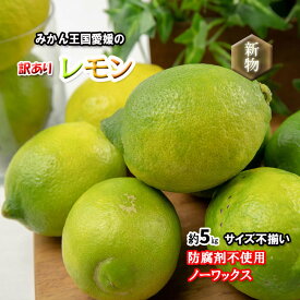 レモン 訳あり 愛媛県産 防腐剤不使用 ノーワックス 不揃い 約 5kg 新物 2025年 グリーンレモン