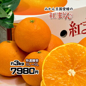 g܂ǂ I ݂ ׂɂ܂ǂ 3L`5L 3kg ϔ 