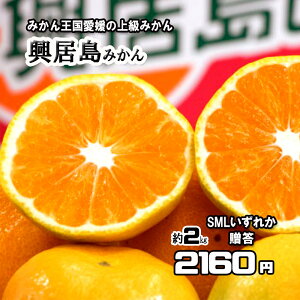 ݂ p Ε ݂̓ ݂͂܂ QY Y SML ꂩ 2kg 