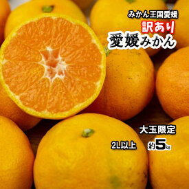 みかん 箱買い 訳あり 愛媛みかん 大玉 2L以上 約5kg 甘いみかん 送料無料