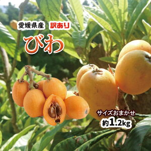 �т� �r�� �󂠂� ���̓� ���Q���Y �L�Y �ό` �������� 1200g ��20�O��
