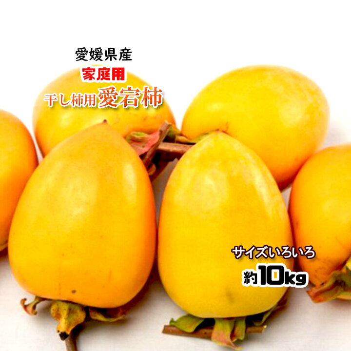 楽天市場 柿 かき 渋柿 干し柿用 愛宕柿 愛媛県産 約10ｋｇ 送料無料 みかん横丁