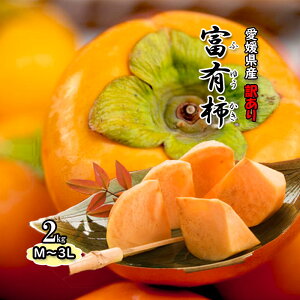 `  xL` ӂ䂩 2kg QY 󂠂 