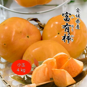 `  xL` ӂ䂩  4kg QY ƒp 