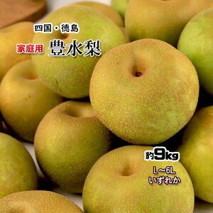L  L ƒp ق Ă̔J񕜂 L`6L 9kg  Y QY
