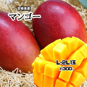 �}���S�[ �{�茧�Y ���n ���n�}���S�[ L-2L 1�� �������� �Z�[��