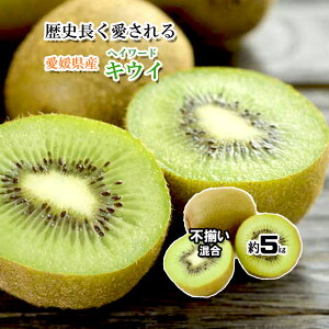 LEC Y wC[hLEC QY ƒp 󂠂 s O[LEC  10kg